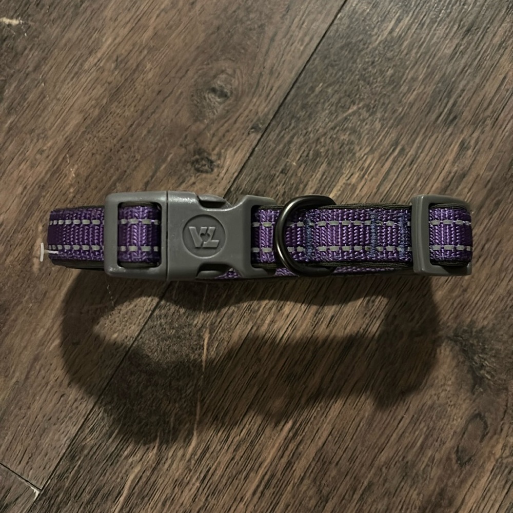 NWT Vibrant Life Padded Striped Safety Dog Collar Purple Medium